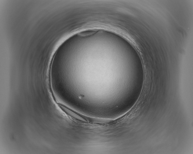 X0000112521536200908171344