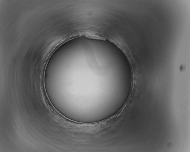 X0000112520001200908241456