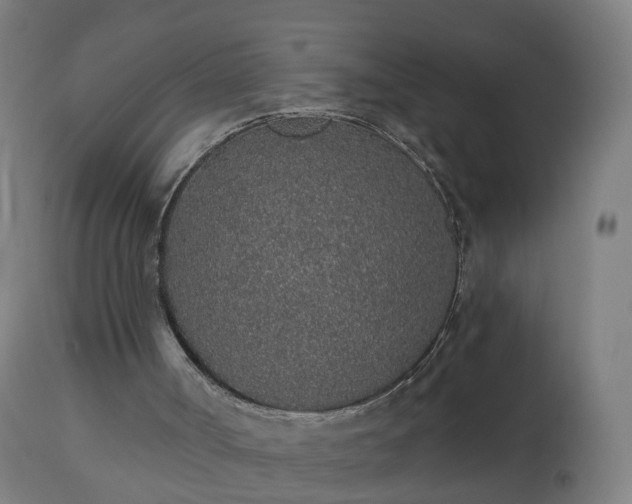 X0000112520002200908241456