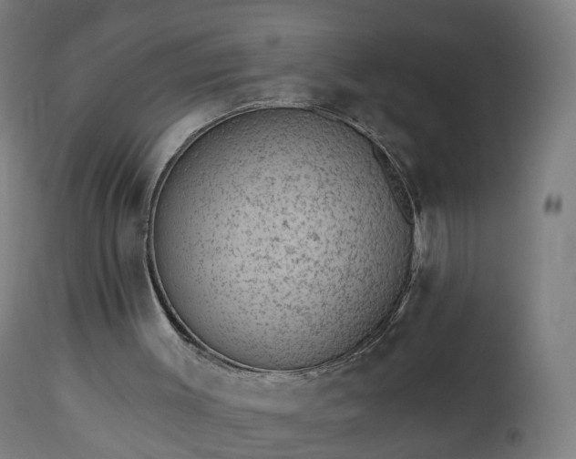 X0000112520003200908241456