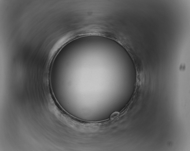 X0000112520004200908241456