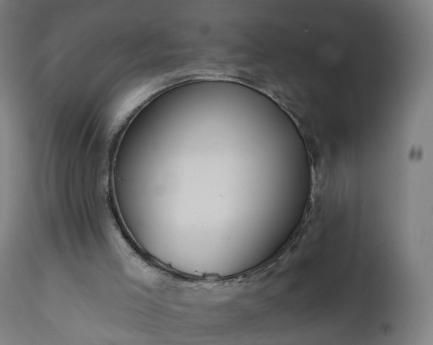 X0000112520005200908241456