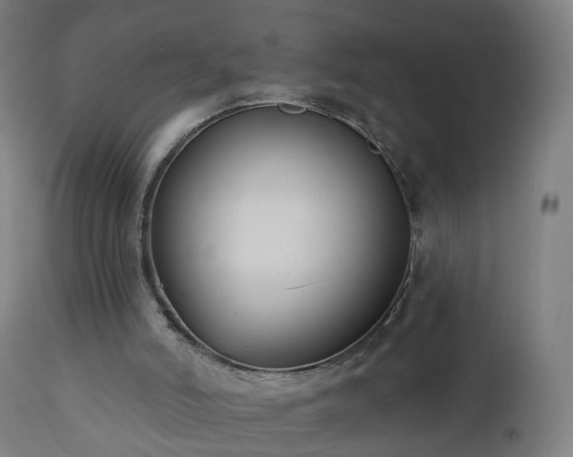 X0000112520006200908241456