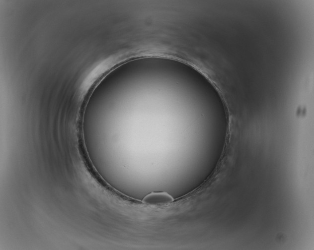 X0000112520007200908241456