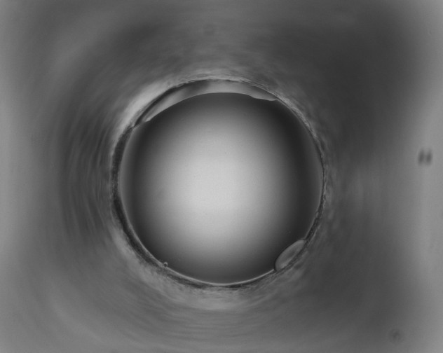 X0000112520008200908241456