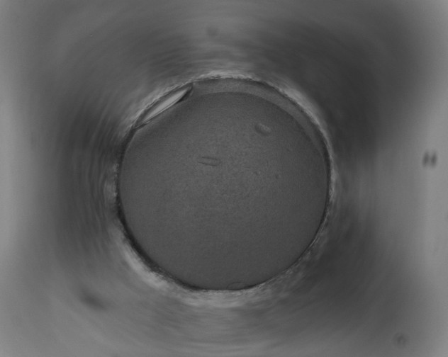 X0000112520009200908241456