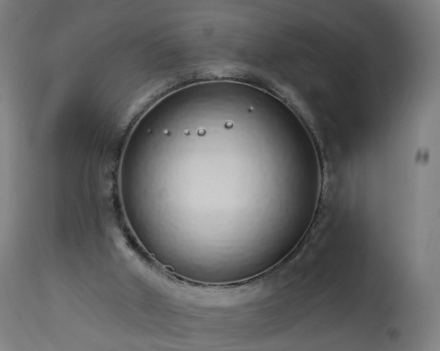 X0000112520010200908241456