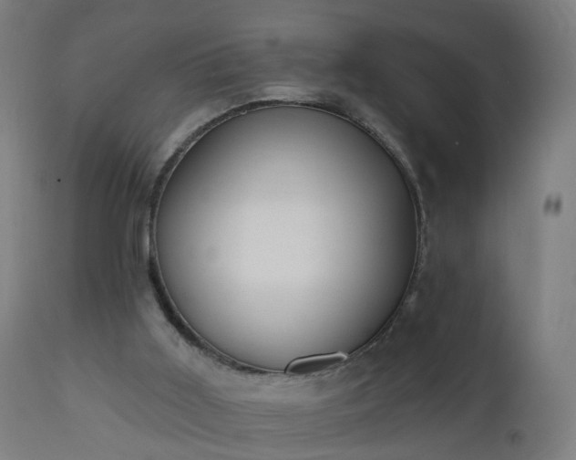 X0000112520011200908241456
