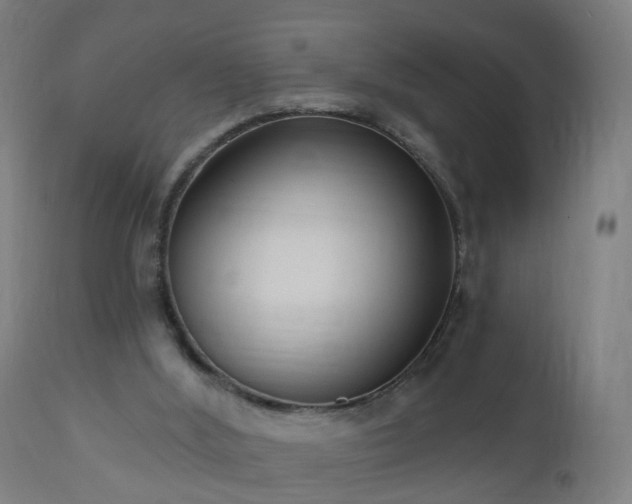 X0000112520012200908241456