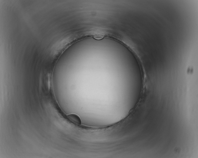 X0000112520013200908241456