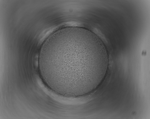 X0000112520014200908241456
