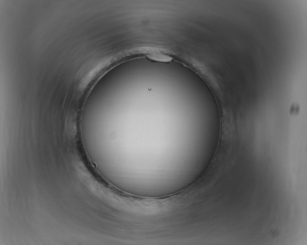 X0000112520015200908241456
