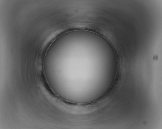 X0000112520016200908241456