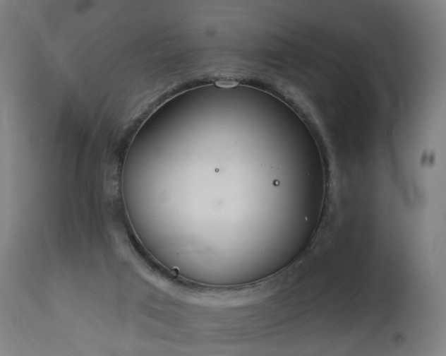 X0000112520017200908241456