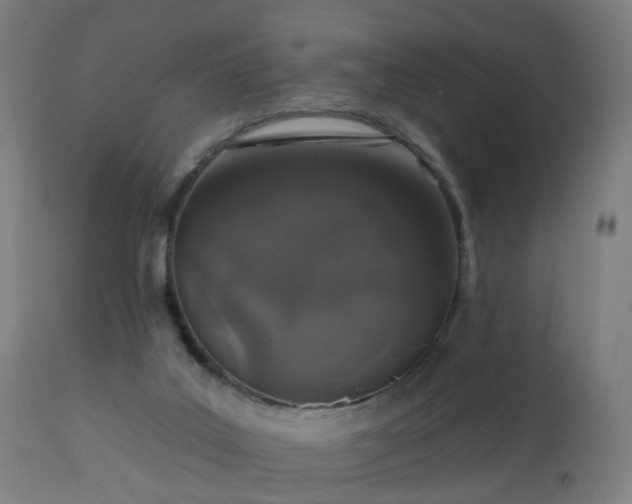 X0000112520019200908241456