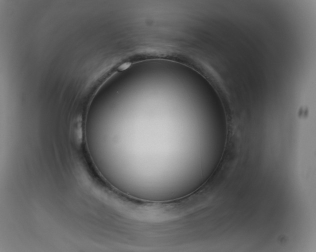 X0000112520020200908241456