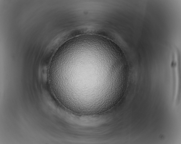 X0000112520022200908241456