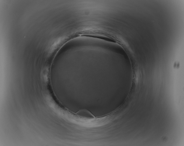 X0000112520023200908241456