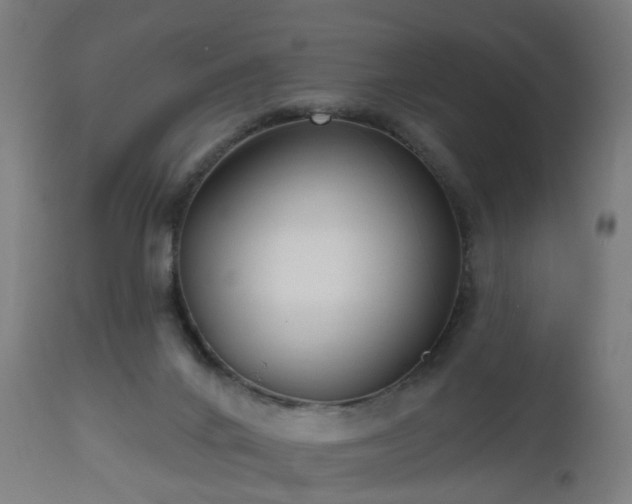 X0000112520024200908241456