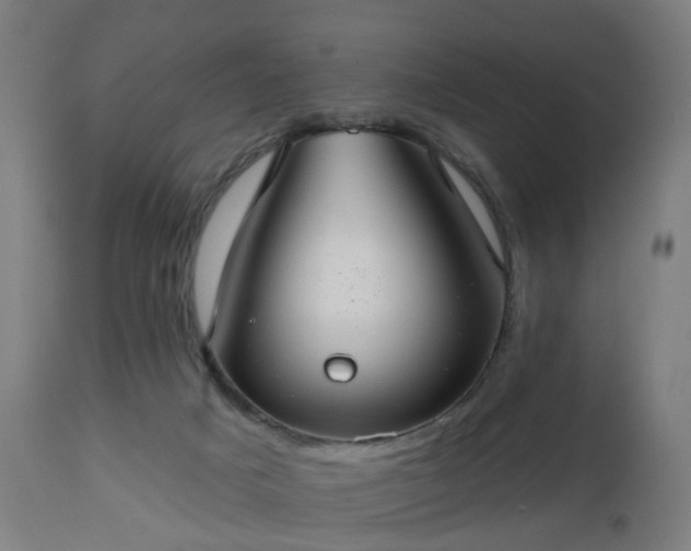 X0000112520025200908241456