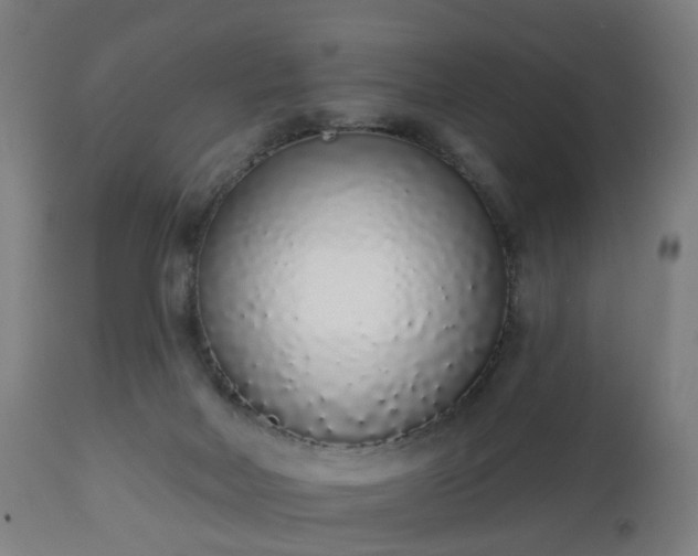 X0000112520026200908241456