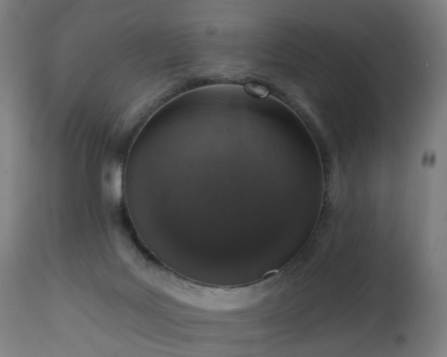 X0000112520027200908241456
