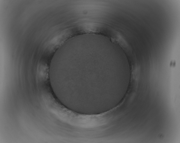 X0000112520029200908241456