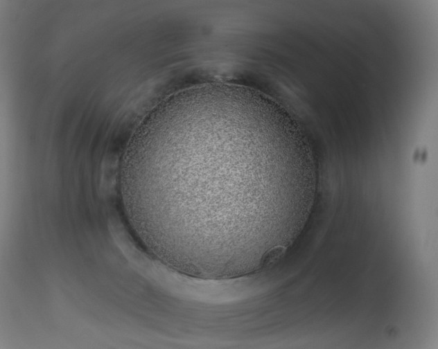 X0000112520030200908241456