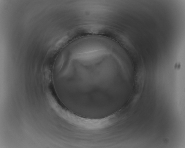 X0000112520031200908241456