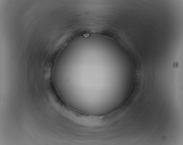 X0000112520032200908241455