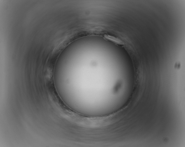 X0000112520033200908241455