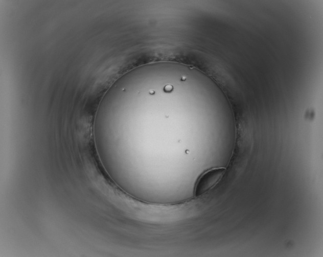 X0000112520034200908241455