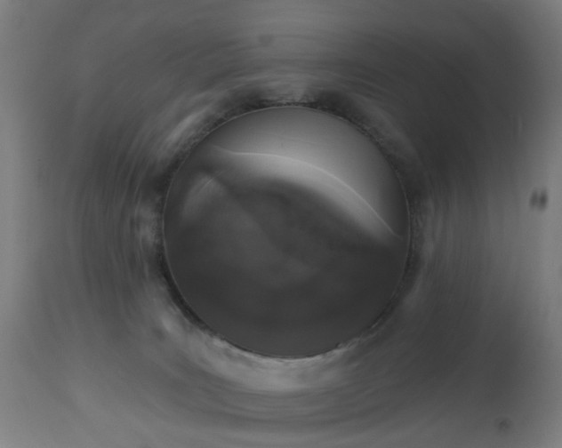 X0000112520035200908241455