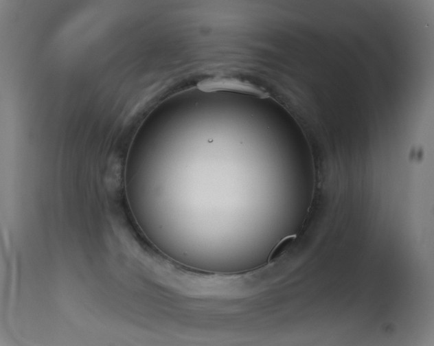 X0000112520036200908241455