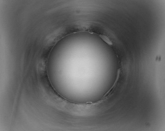 X0000112520037200908241455