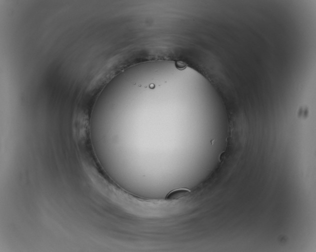 X0000112520038200908241455