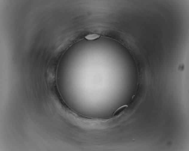 X0000112520040200908241455