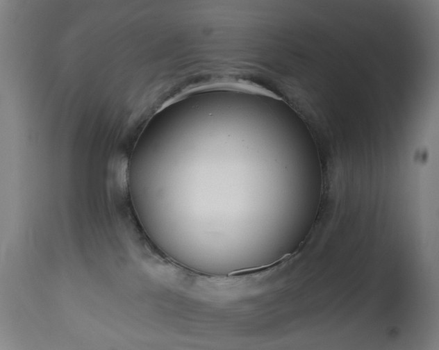 X0000112520041200908241455