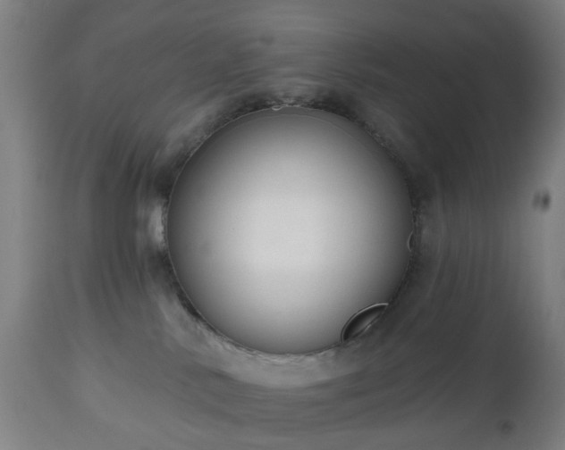 X0000112520042200908241455