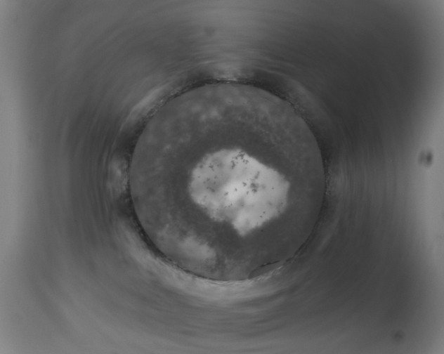 X0000112520043200908241455
