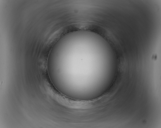 X0000112520044200908241455