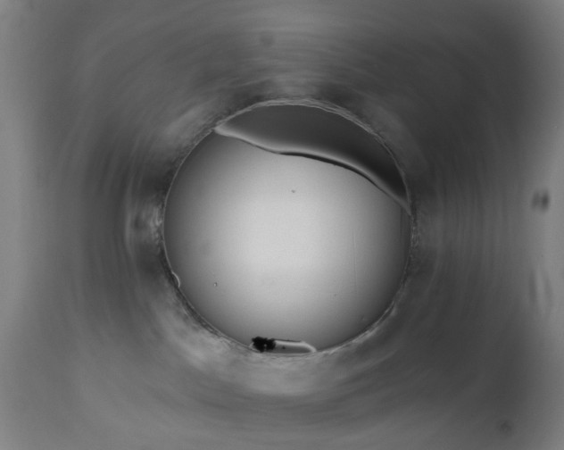 X0000112520045200908241455