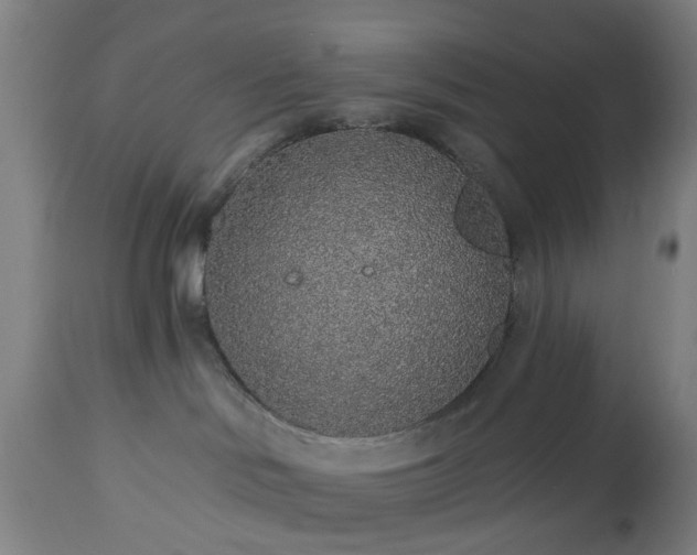 X0000112520046200908241455
