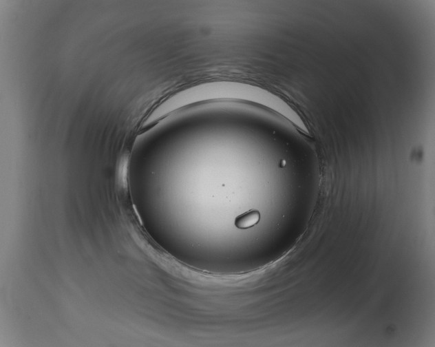X0000112520047200908241455