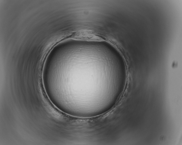 X0000112520049200908241455