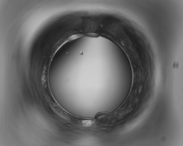 X0000112520050200908241455