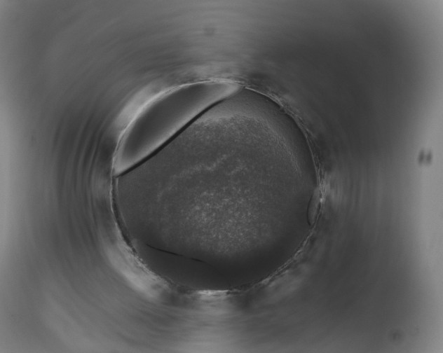 X0000112520052200908241455