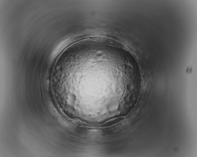 X0000112520053200908241455