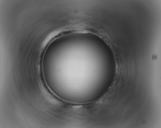 X0000112520054200908241455