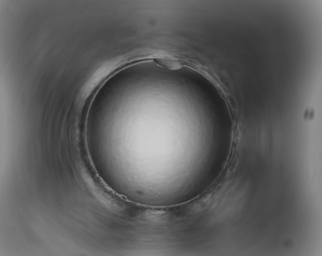 X0000112520055200908241455